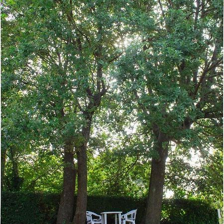Twin Oaks Διαμέρισμα Šišan Εξωτερικό φωτογραφία