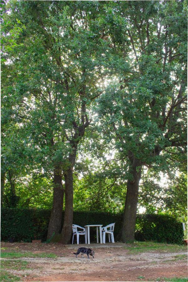 Twin Oaks Διαμέρισμα Šišan Εξωτερικό φωτογραφία