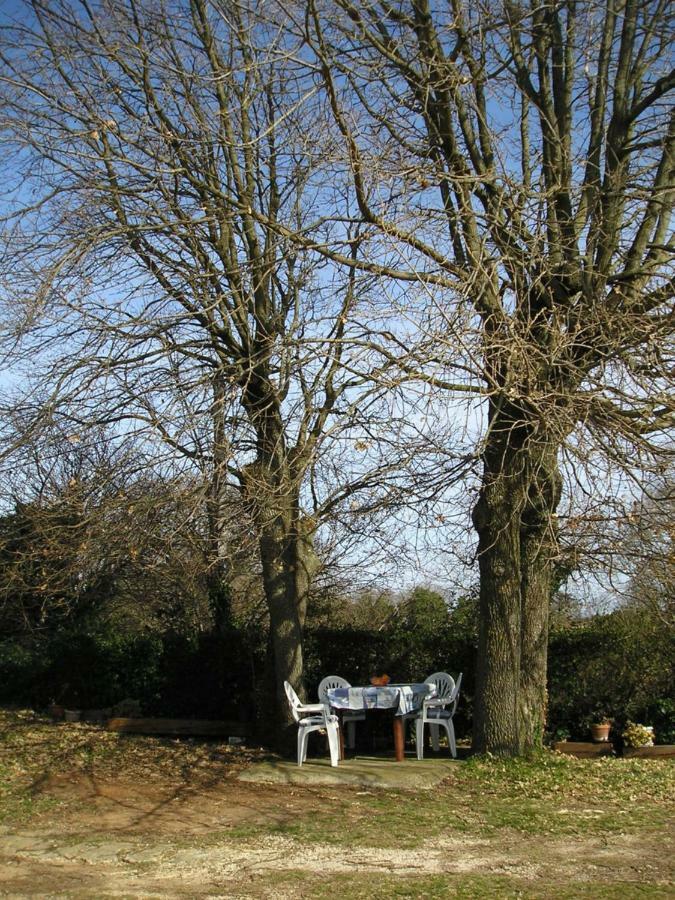 Twin Oaks Διαμέρισμα Šišan Εξωτερικό φωτογραφία